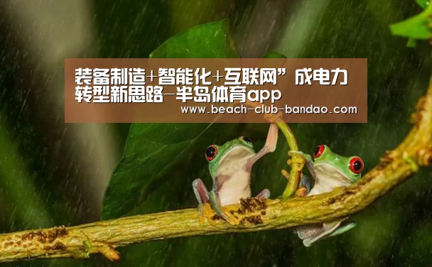 装备制造+智能化+互联网”成电力转型新思路-半岛体育app(图2) 半岛体育app